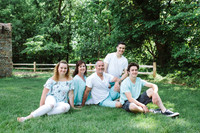 Teal Family